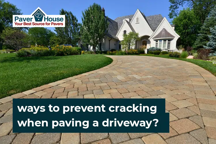 How to Prevent Driveway Cracks with Florida’s Top Driveway Paving Companies